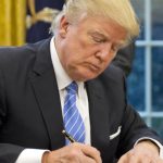 un nou pas in razboiul taxelor trump va dubla tarifele pentru produsele din otel si aluminiu importate din canada care este motivul 67d054f20b643