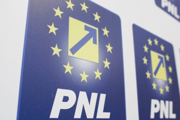 un primar liberal care a anuntat ca l sustine pe nicusor dan exclus din partid 67e57add2c18f