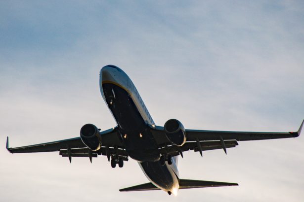 un roman a fost arestat pe aeroportul otopeni dupa ce a facut scandal in avion si a agresat o stewardesa 67c70fcdeea59