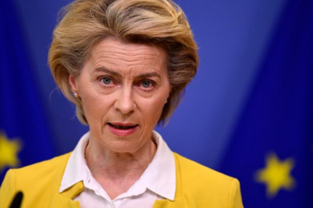 ursula von der leyen ucraina trebuie sa fie transformata intr un arici de otel complet indigerabil oricarui tip de invadator 67e8529309554