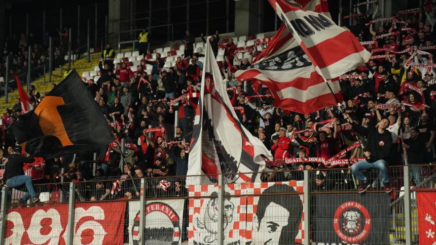 Veste uriașă pentru Dinamo! Anunțul conducerii după intrarea în play-off: ”Avem șanse foarte bune!” 1 veste uriasa pentru dinamo anuntul conducerii dupa intrarea in play off avem sanse foarte bune 67cf5e6c1b907