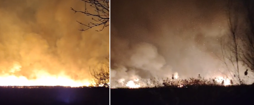 video alerta in aliman din cauza unui incendiu de vegetatie uscata intervin mai multe echipaje de pompieri 67d1ee1d79d5b