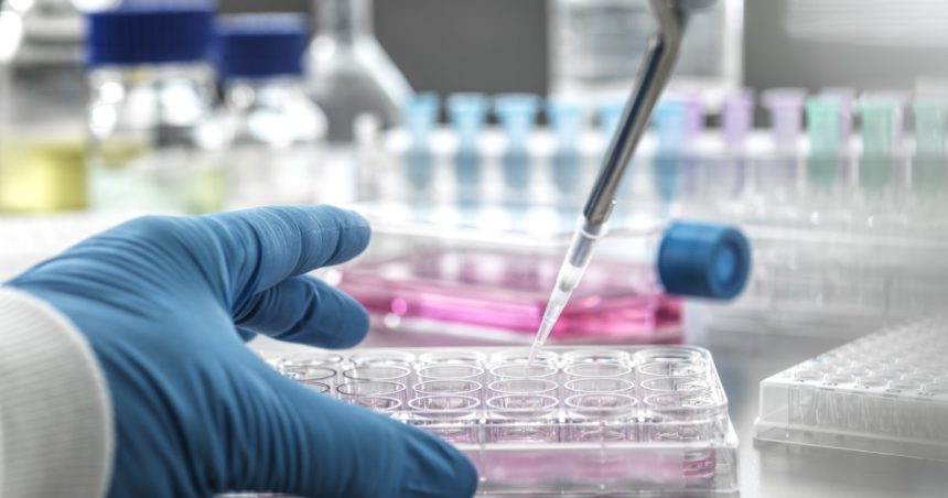 video ancheta intr un spital din tara dupa ce in laboratorul de analize au fost descoperite substante expirate reactia conducerii 67dba250b8b65