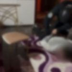 video caz de sclavie intr un aprozar din cluj napoca proprietarii arestati pentru trafic de persoane 67dd36607981d