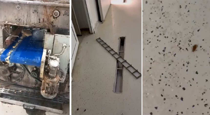 video gnf bakery srl calcata de inspectorii de la protectia consumatorilor acestia au gasit gandaci vii rugina pe utilaje si murdarie 67d45c61d8293