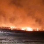 video incendii de amploare in judetul tulcea sunt afectate peste 10 hectare de vegetatie uscata si stuf 67df0b8a2761a
