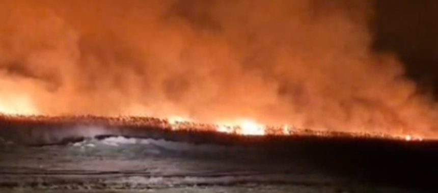 video incendii de amploare in judetul tulcea sunt afectate peste 10 hectare de vegetatie uscata si stuf 67df0b8a2761a
