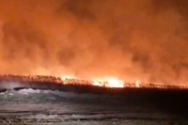 video incendii de amploare la tulcea sunt afectate peste 10 hectare de vegetatie uscata si stuf 67df046b0a0e8