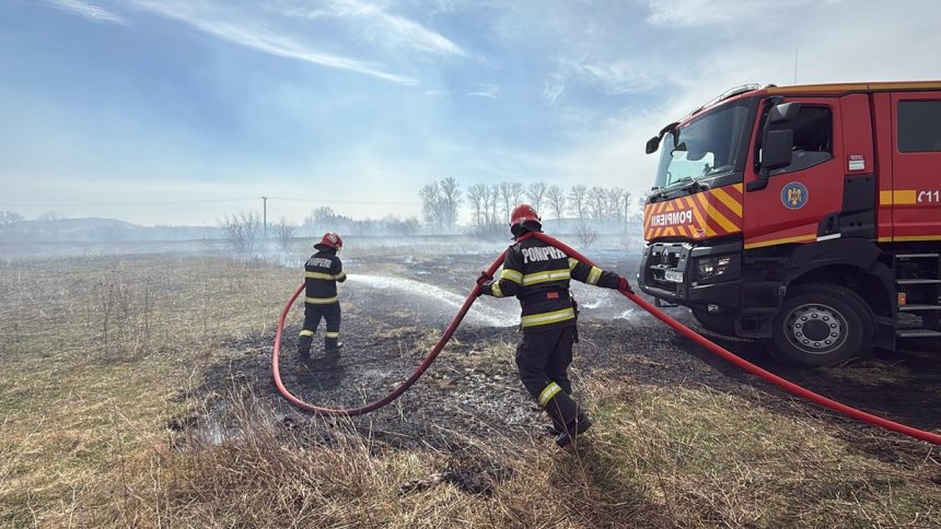 video incendiu de amploare in delta dunarii mai multe obiective economice in pericol 67d9588cea723