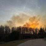 video incendiu in delta dunarii pompierii tulceni intervin pentru supravegherea unui focar de 50 de ha cu risc pentru obiective economice 67d334f9622bd