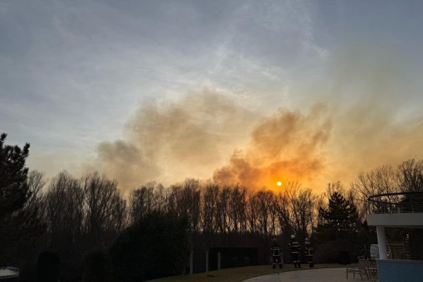 video incendiu in delta dunarii pompierii tulceni intervin pentru supravegherea unui focar de 50 de ha cu risc pentru obiective economice 67d334f9622bd