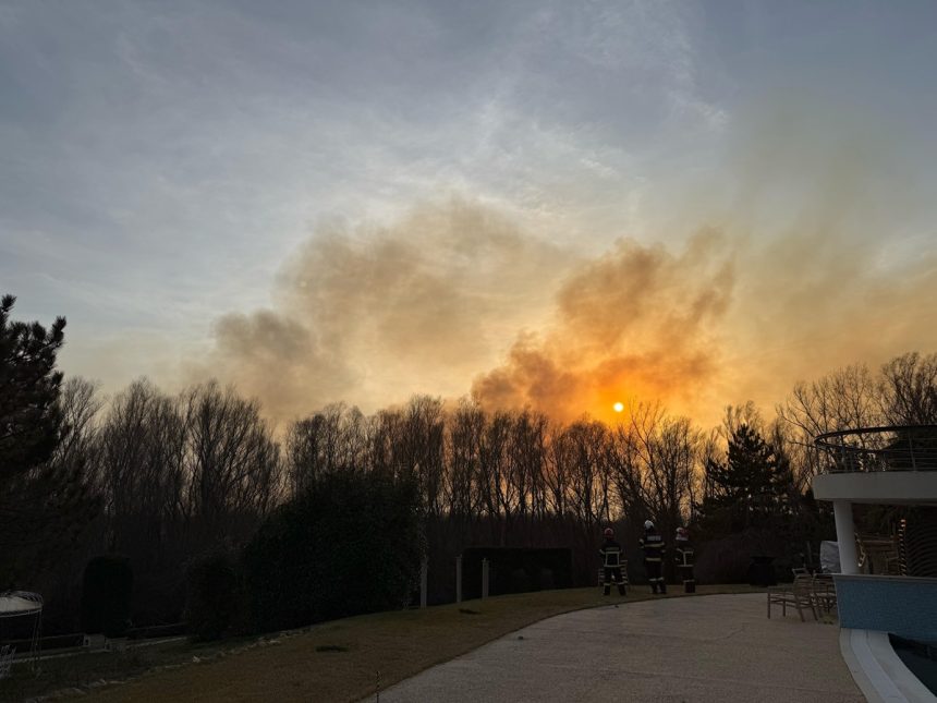 video incendiu in delta dunarii pompierii tulceni intervin pentru supravegherea unui focar de 50 de ha cu risc pentru obiective economice 67d334f9622bd
