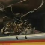 video incendiu in timpul zborului in cabina unui avion al companiei hong kong airlines 67dc8d9a5749e