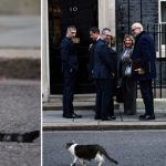 Motanul din Downing Street nu a fost primit cu delegații europeni în reședința lui Keir Starmer. 3 video motanul din downing street nu s a bucurat de oaspeti larry nu a fost primit cu delegatii europeni in resedinta lui keir starmer 67c4d381bde9f