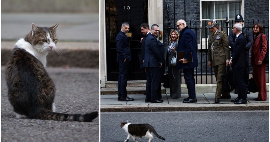 video motanul din downing street nu s a bucurat de oaspeti larry nu a fost primit cu delegatii europeni in resedinta lui keir starmer 67c4d381bde9f