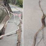 Peisaj de primăvară cu alei surpate și mizerie la fiecare pas. Cum arată cel mai mare parc din Capitală: „E o plăcere să mergi pe-aici” 3 video peisaj de primavara cu alei surpate si mizerie la fiecare pas cum arata cel mai mare parc din capitala e o placere sa mergi pe aici 67d1752f18c26
