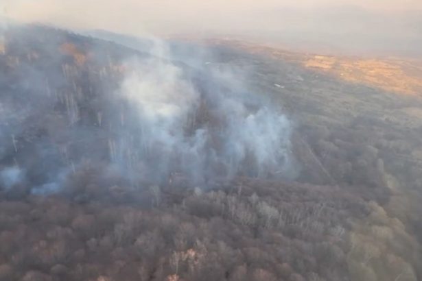 video primele victime in urma incendiilor de vegetatie arafat da vina pe oameni nu le putem pune pe seama temperaturilor sunt intentionate 67cd6b976d76d