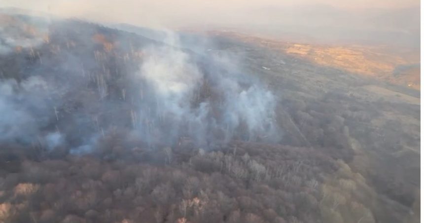 video primele victime in urma incendiilor de vegetatie arafat da vina pe oameni nu le putem pune pe seama temperaturilor sunt intentionate 67cd6b976d76d