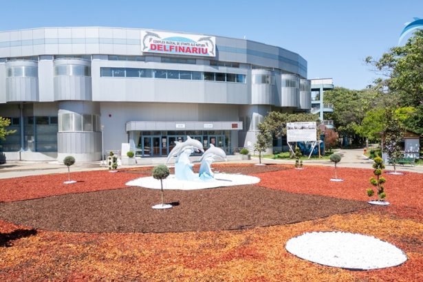 video proiectul extinderii delfinariului din constanta in grafic constructorul ne a garantat ca il va finaliza conform calendarului 67dbf0efb7934