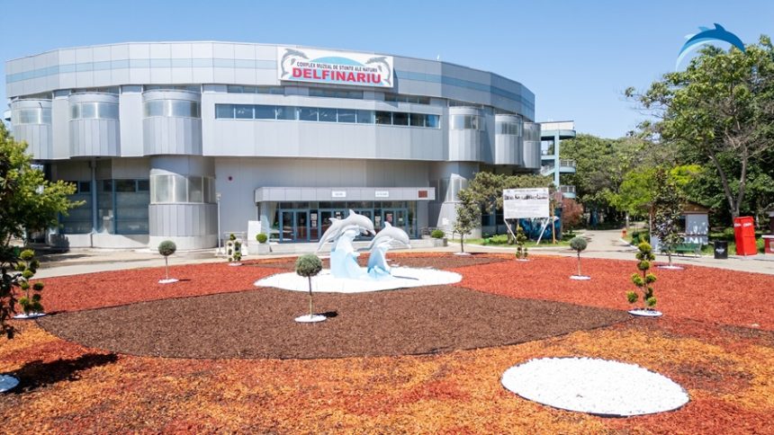 video proiectul extinderii delfinariului din constanta in grafic constructorul ne a garantat ca il va finaliza conform calendarului 67dbf0efb7934