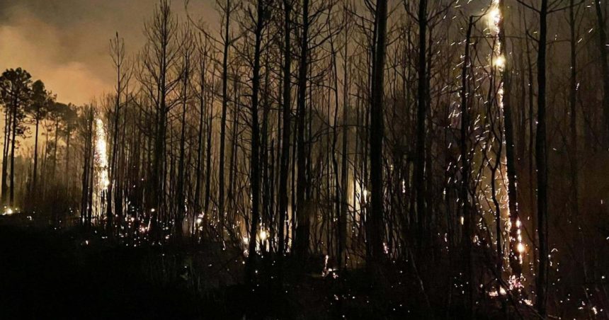 SUA se confruntă cu noi incendii puternice și greu de controlat; în Carolina de Sud a fost declarată stare de urgență. 1 video sua se confrunta cu noi incendii puternice si greu de controlat in carolina de sud a fost declarata stare de urgenta 67c6d48ca5d16