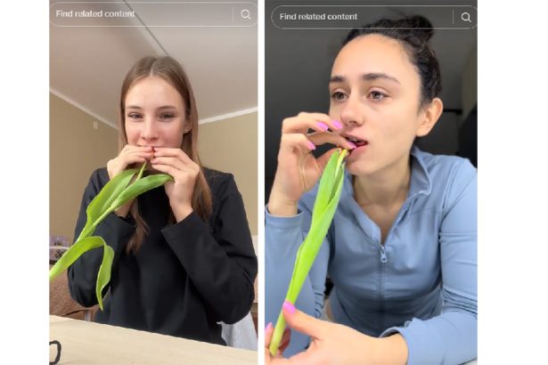 video un nou trend periculos pe tiktok provocarea lalelei poate duce la probleme mari ale ficatului 67dff71542413