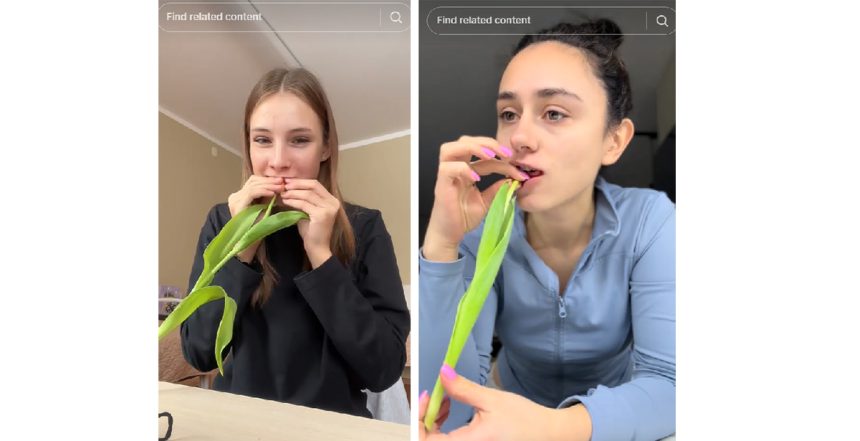 video un nou trend periculos pe tiktok provocarea lalelei poate duce la probleme mari ale ficatului 67dff71542413