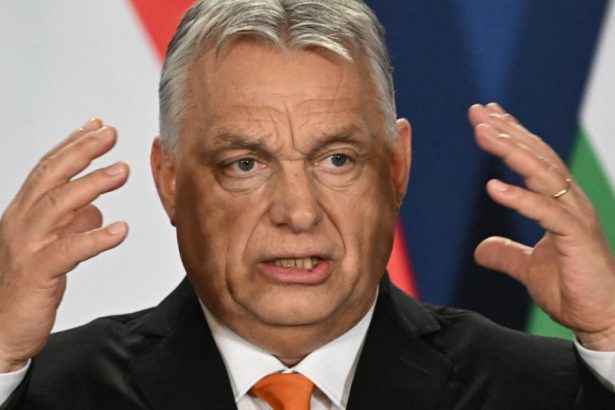 viktor orban a emis un ultimatum lanturilor de supermarketuri din tara trebuie sa reduca preturile 67d0041003f19