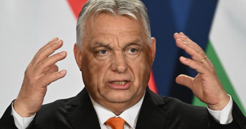 viktor orban a emis un ultimatum lanturilor de supermarketuri din tara trebuie sa reduca preturile 67d0041003f19