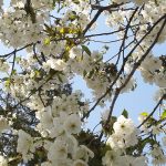 vine primavara in dobrogea cand sunt anuntate temperaturi de peste 20 de grade la malul marii 67c5fb85e5e5c