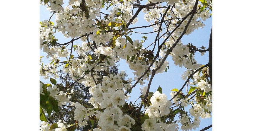 vine primavara in dobrogea cand sunt anuntate temperaturi de peste 20 de grade la malul marii 67c5fb85e5e5c