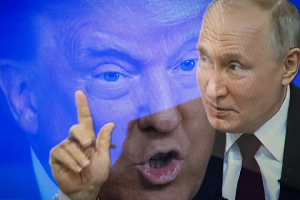 vladimir putin a acceptat sa l ajute pe donald trump sa comunice pe teme nucleare cu iranul anunta bloomberg 67c70fc891807