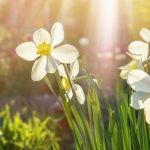 Vreme mai caldă decât de obicei. Temperaturile vor ajunge la 23 de grade. Prognoza meteo pentru Capitală. 2 vreme mai calda decat in mod obisnuit temperaturile vor urca pana la 23 de grade cum va fi vremea in capitala 67de84c856608