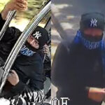a fost prins barbatul care a vandalizat autobuzele ct bus cine este acesta si ce sanctiune a primit 68371bd450516