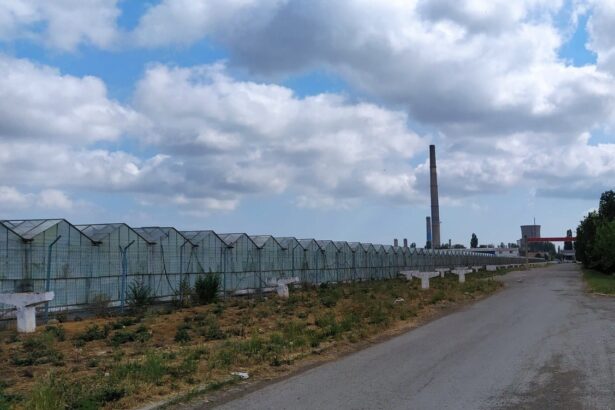 administratia locala vrea sa revitalizeze si zona agro industriala a municipiului dar se impotmoleste pe drum 683389c63a39b