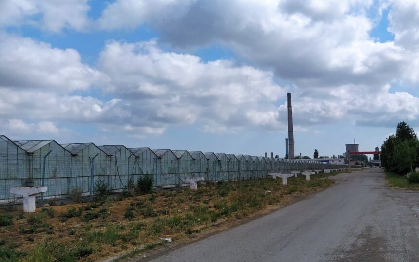 Administrația locală intenționează să revitalizeze zona agro-industrială a municipiului, dar întâmpină dificultăți în proces. 1 administratia locala vrea sa revitalizeze si zona agro industriala a municipiului dar se impotmoleste pe drum 683389c63a39b