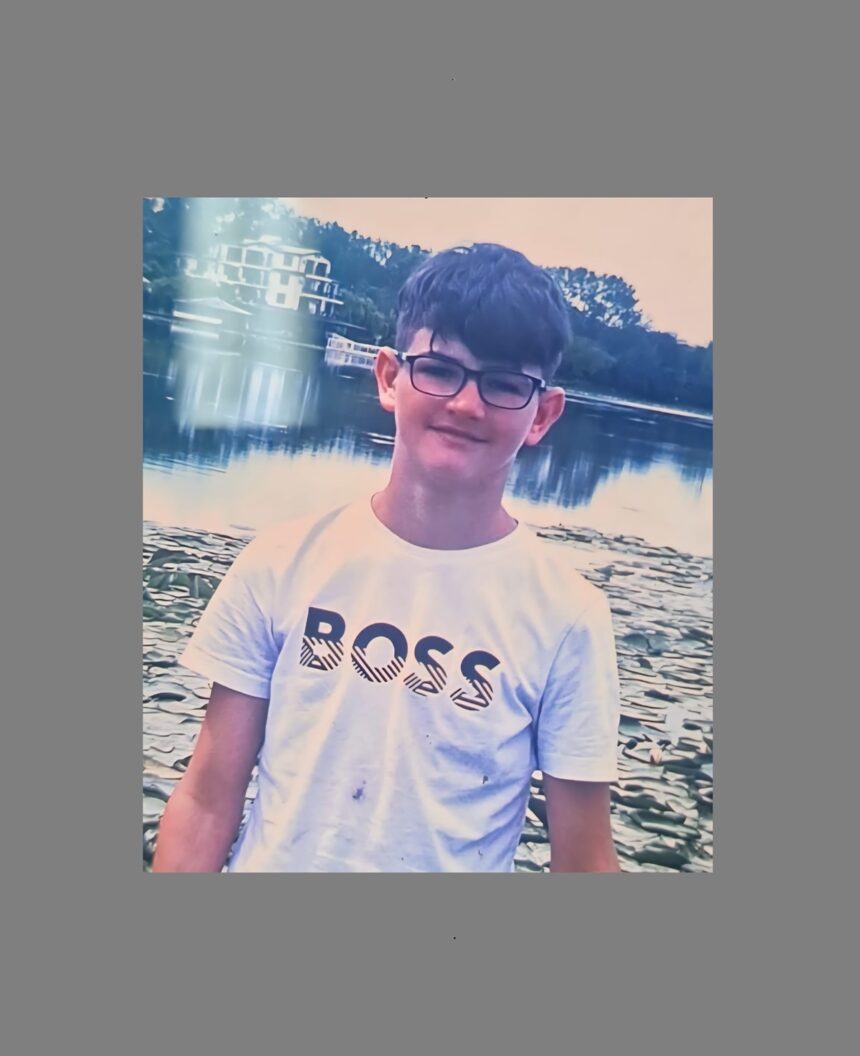 Adrian Papuc, în vârstă de 14 ani, din Tuzla, este dispărut. Sunați la 112 dacă îl observați. 1 adrian papuc de 14 ani din tuzla dat disparut sunati la 112 daca il vedeti 683a91b8d3575