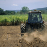 AFM: Limitările infrastructurii cloud au cauzat problemele aplicației informatice "Rabla pentru tractoare" 2 afm problemele aplicatiei informatice rabla pentru tractoare au fost cauzate de limitarile infrastructurii cloud 6824a9e027b74