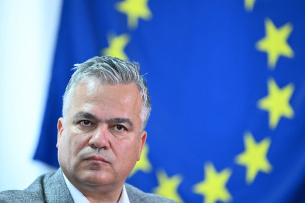 alegeri prezidentiale 2025 adrian vestea pnl procesul electoral a fost corect si transparent 682a3b2f00c10