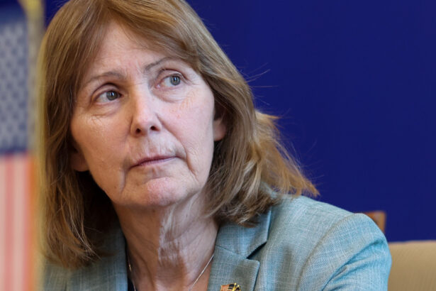 ambasadoarea sua la bucuresti kathleen kavalec se retrage michael dickerson va ocupa functia de charge daffaires ad interim 682c283d68ed5