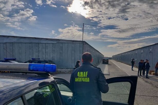 antifrauda a identificat obligatii fiscale neachitate de peste 15 milioane de lei la o firma din constanta firma a platit aproape 900 000 de lei inainte de finalizarea verificarilor 6834441c8fd3c