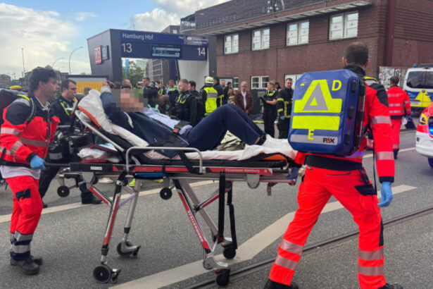 atac cu cutitul in gara centrala din hamburg ce spun politistii despre femeia care a ranit 18 oameni 683201e5a9e93