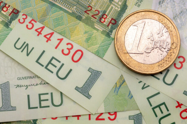 bnr leul se apreciaza fata de euro dar scade fata de dolar 6821e5db81497