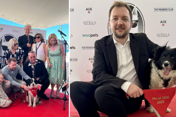 cannes 2025 un ciobanesc islandez a primit trofeul palme dog pentru cea mai buna interpretare canina 683372a70a7f6
