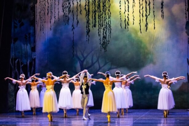 ce evenimente prezinta in aceasta saptamana teatrul national de opera si balet oleg danovski 68207c562b9f3