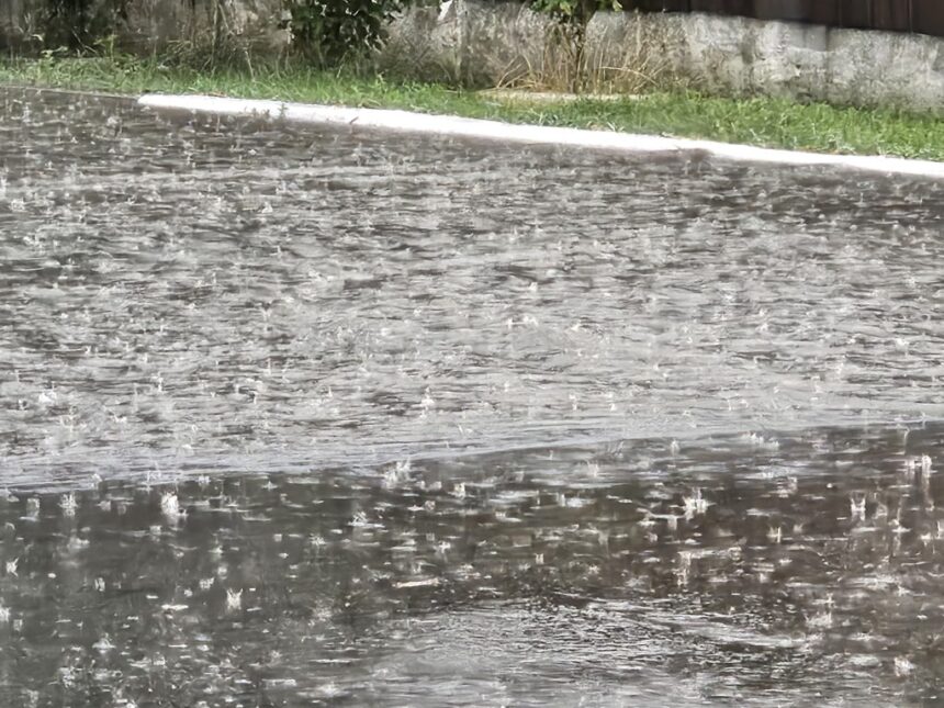 cod galben de ploi si vijelii in constanta si tulcea 6832e7d69abfc