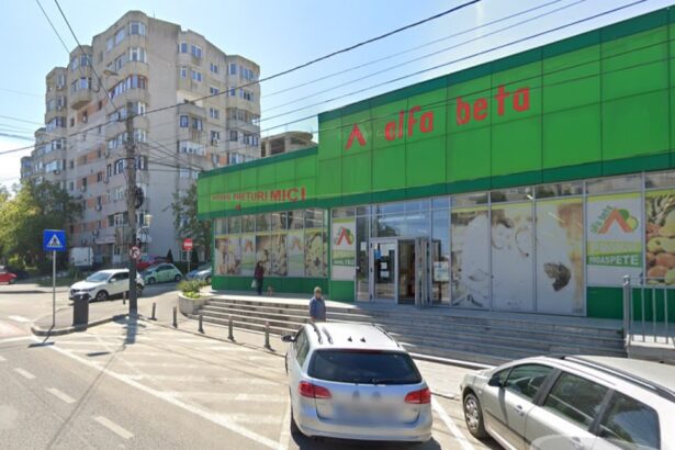 continua procesul dintre dan armeanu si consiliul local constanta pentru minipiata de pe strada steagului 682ead39bf58c