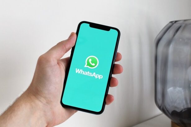 cum monitorizezi succesul unei campanii de trafic prin rapoartele din whatsapp business 6829987b03075
