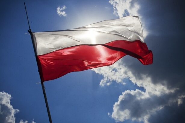 cursa prezidentiala stransa in polonia cu mize importante 68395c7505569