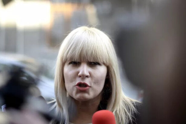 elena udrea a obtinut in instanta deducerea din pedeapsa a mai multor zile petrecute in arest preventiv decizia poate fi atacata 6835c1ae5d100